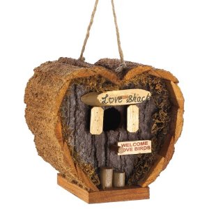 Decorative Bird Houses